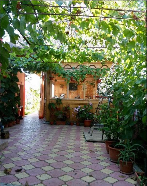 Casa Calin Hotel Crisan  Buitenkant foto